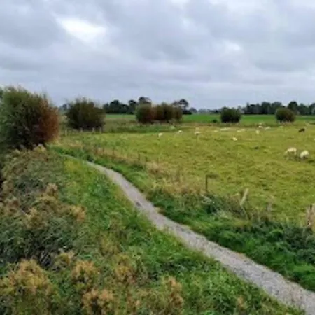 Robs Schagen